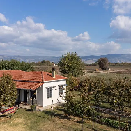 別荘 The Hobbit Hole