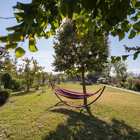 The Hobbit Hole Holiday home Trikala (Thessaly)