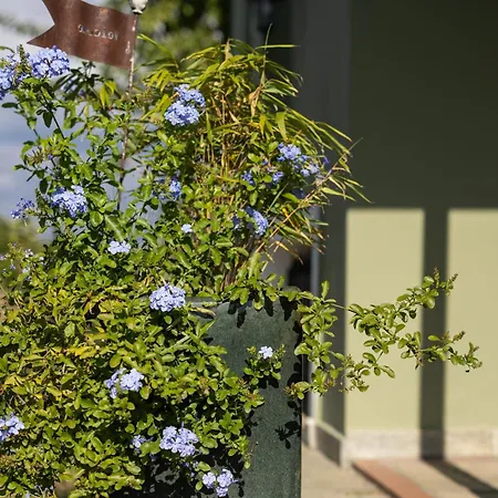 The Hobbit Hole * Tríkala