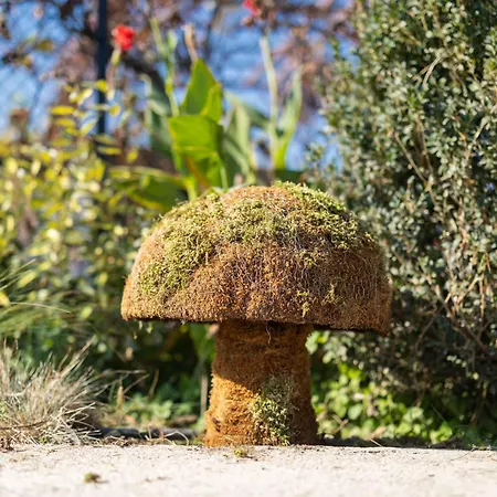 The Hobbit Hole * 트리칼라