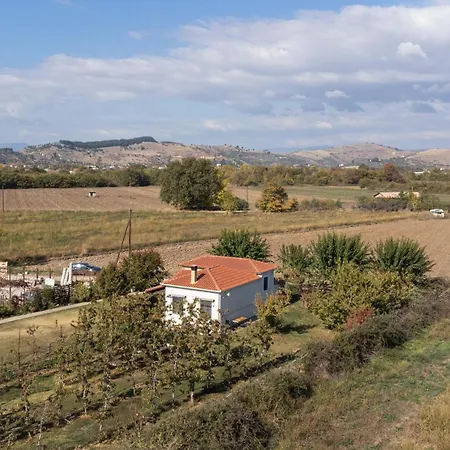 The Hobbit Hole 別荘 *