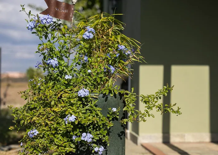 The Hobbit Hole * Tríkala